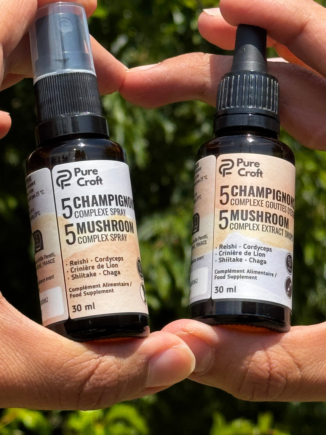La Science de la Synergie des Champignons : Pourquoi associer les champignons fonctionnels sublime votre rituel quotidien