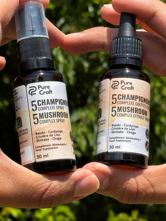 La Science de la Synergie des Champignons : Pourquoi associer les champignons fonctionnels sublime votre rituel quotidien