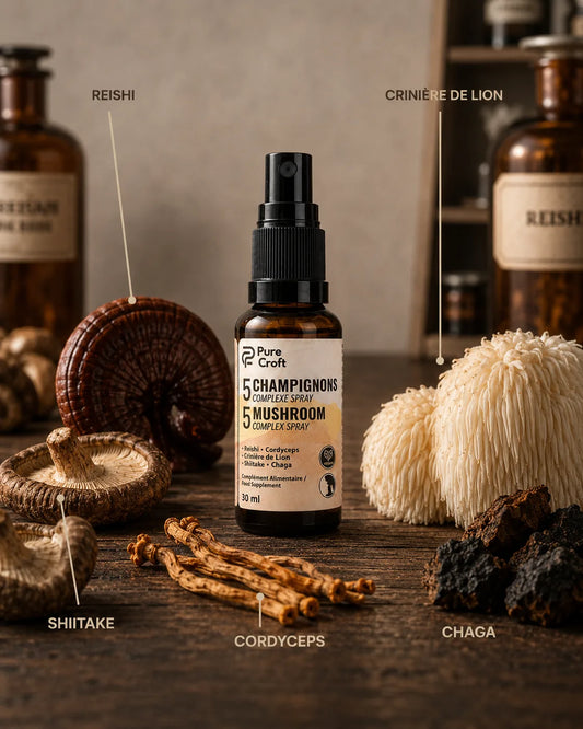 Extrait de champignons en spray pour routine sommeil