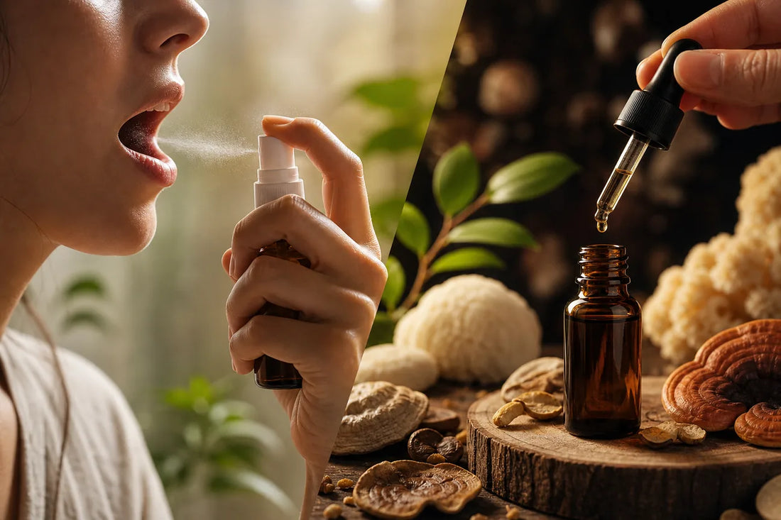 Photographie de Top 3 formats champignons : spray sublingual ou gouttes