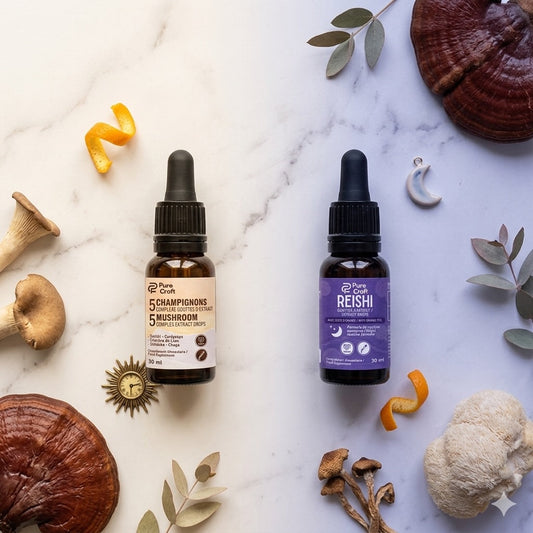 Bêta-Glucane Et Champignons : Guide De La Biodisponibilité