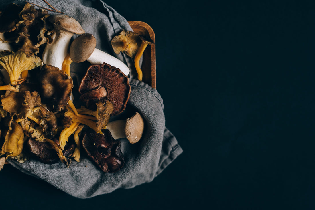 Histoire des champignons français : l'art du bien-être