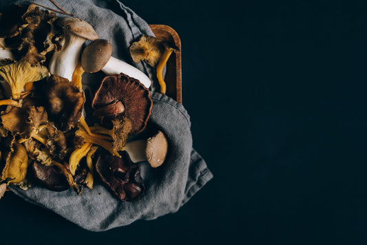 Histoire des champignons français : l'art du bien-être