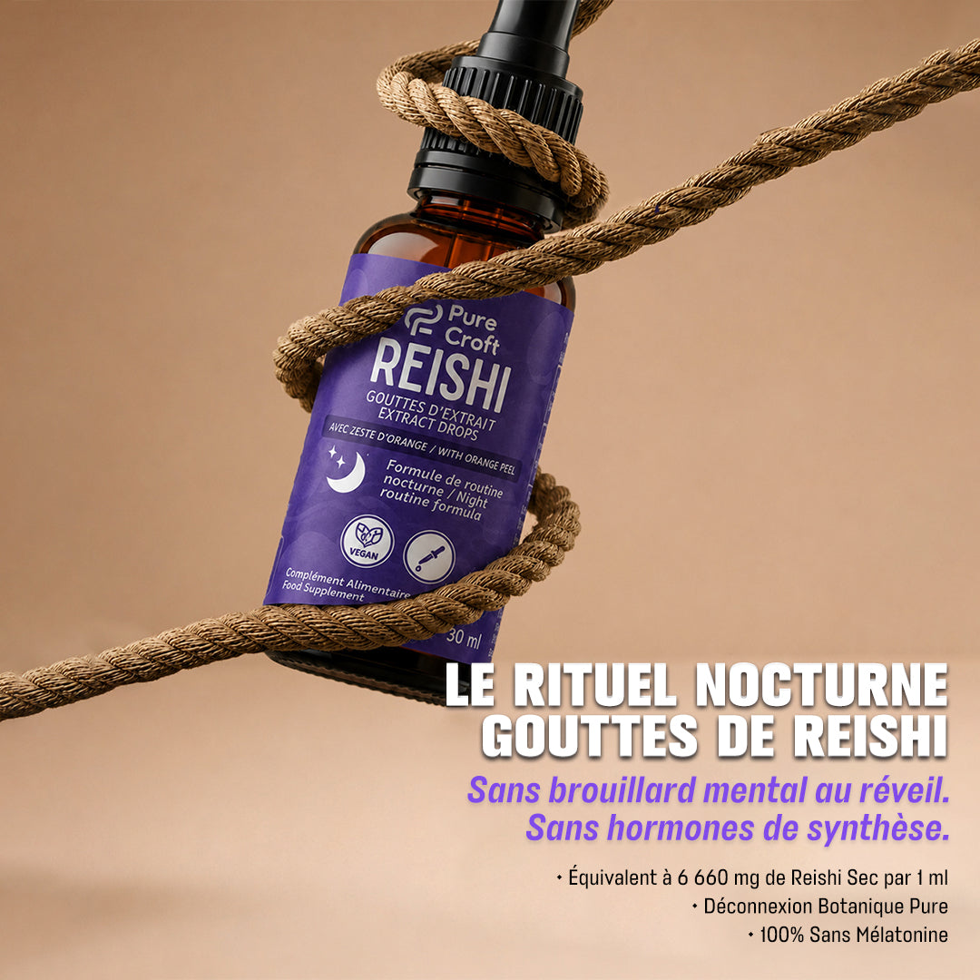 Reishi extract drops with orange peel, night routine formula, vegan supplement in amber bottle wrapped in rope