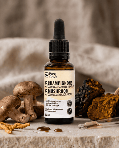 5 Champignons Complexe en Gouttes | Le Rituel Matinal Ultime