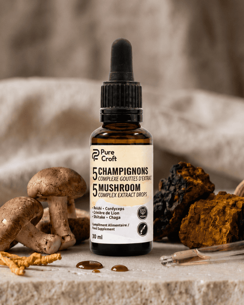 Gouttes d'extrait de 5 champignons fonctionnels, complément alimentaire en flacon avec pipette, entouré de champignons frais et séchés.