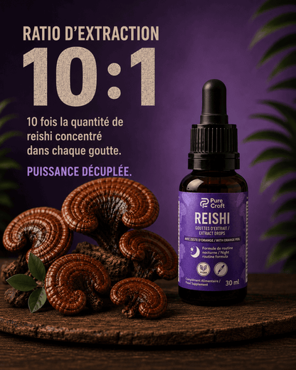 Gouttes d'Extrait de Reishi | Équivalent à 6 660 mg de Reishi