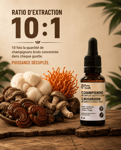 5 Champignons Complexe en Gouttes | Le Rituel Matinal Ultime