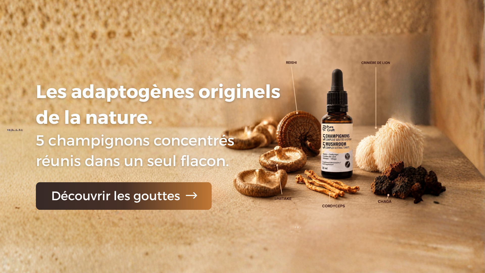 5 Mushroom Complex Extract Drops with Reishi, Shiitake, Cordyceps, Lion's Mane, Chaga