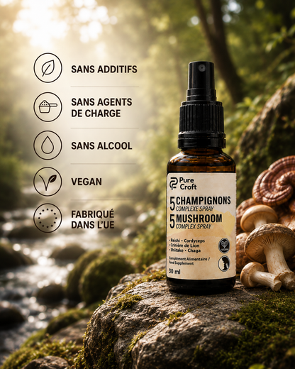 5 Mushroom Complex Spray bottle with Reishi, Cordyceps, Lion’s Mane, Shiitake, Chaga on mossy rock in forest