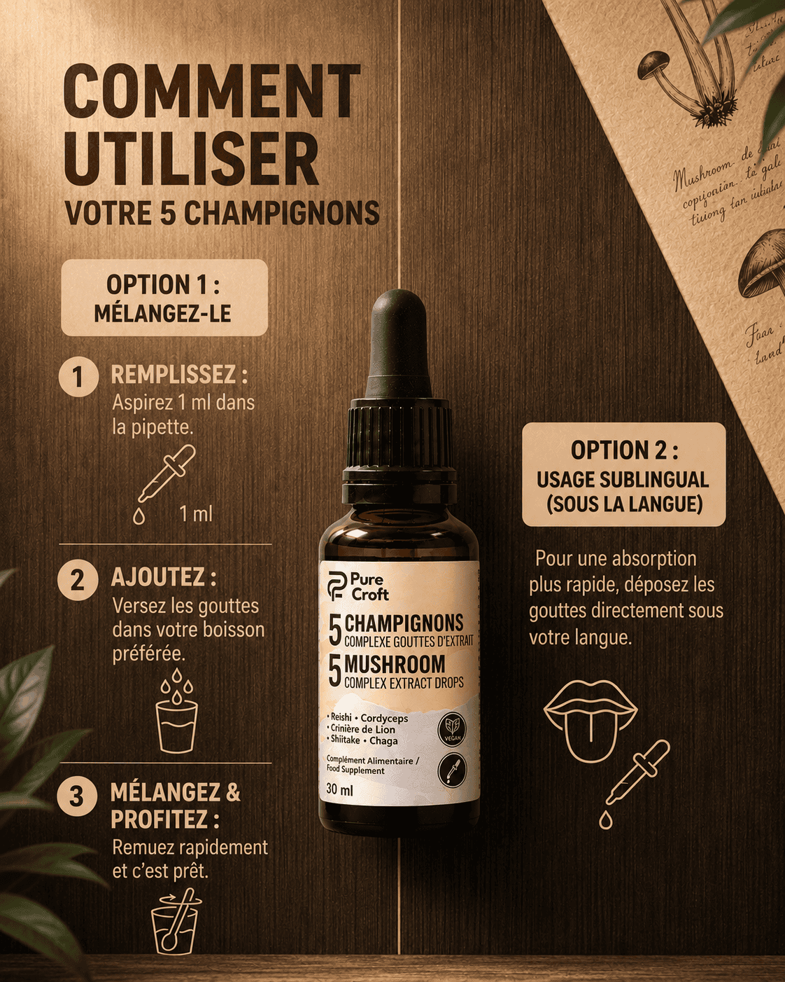 5 Champignons Complexe en Gouttes | Le Rituel Matinal Ultime