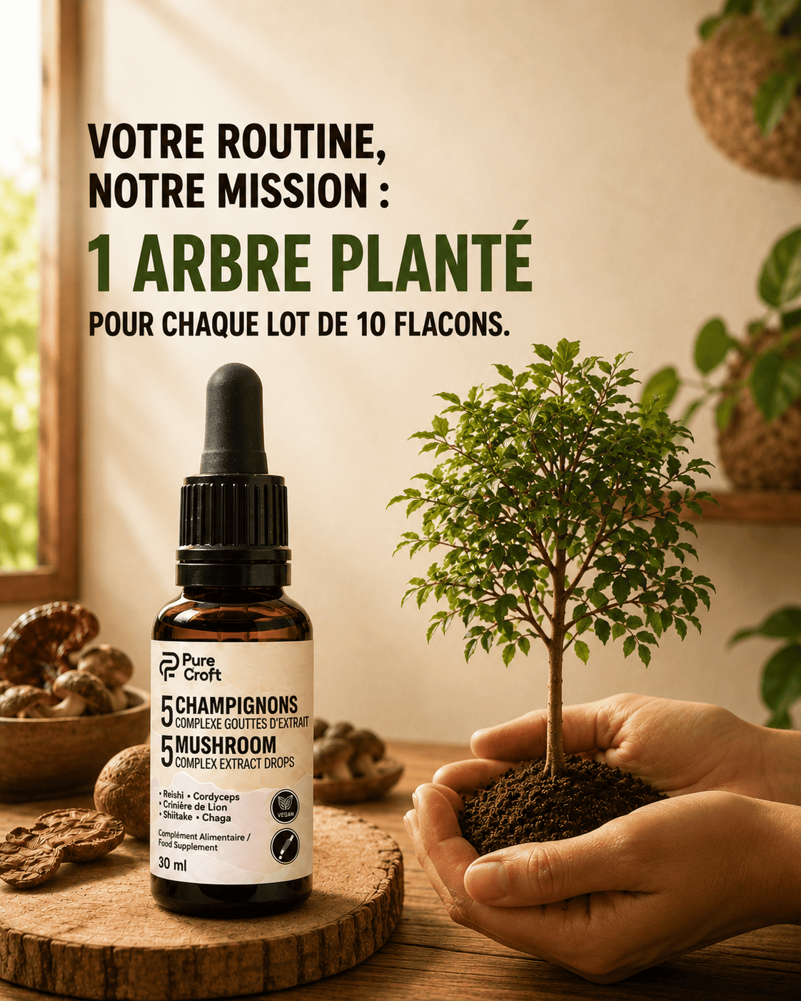 5 Champignons Complexe en Gouttes | Le Rituel Matinal Ultime