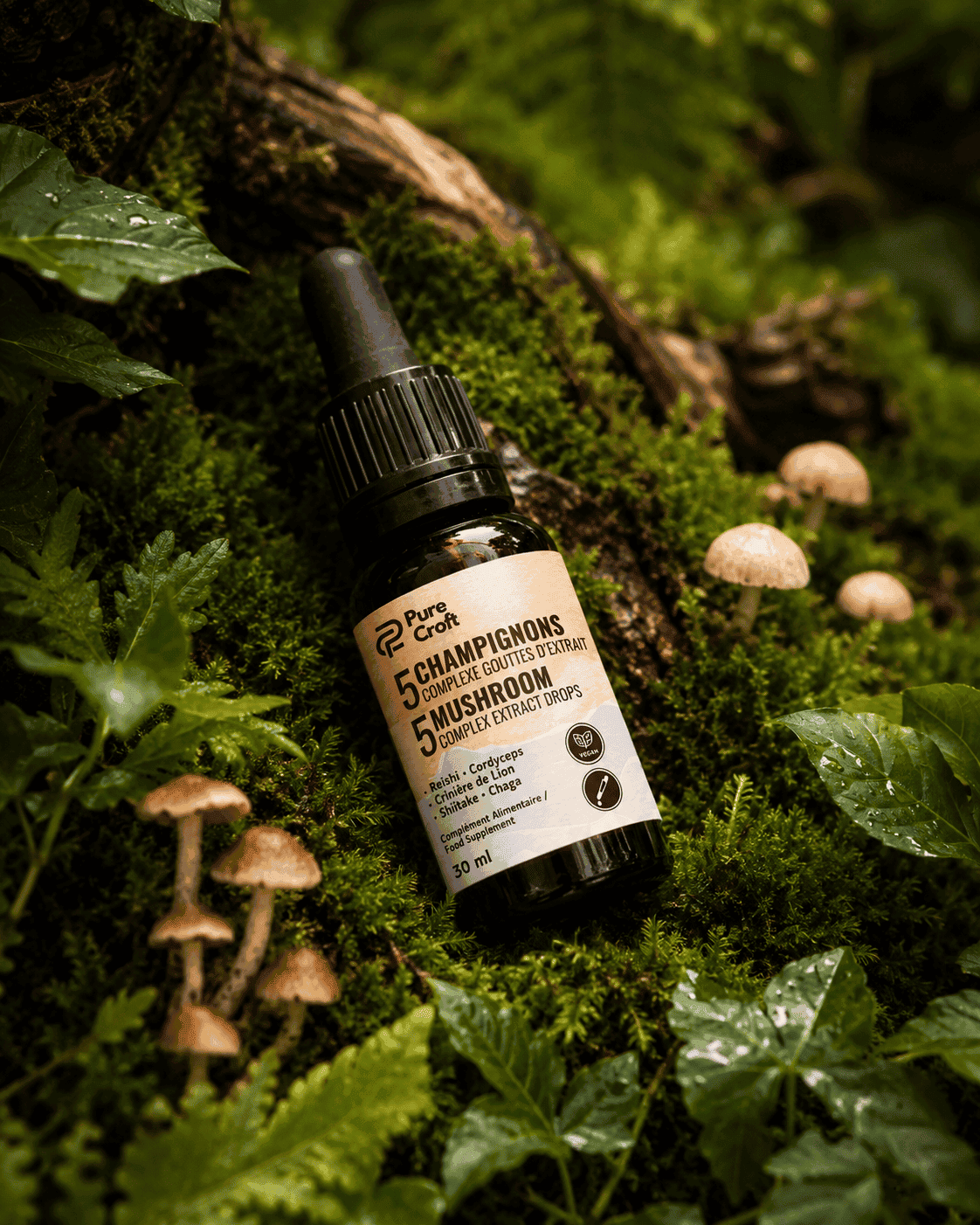 5 Champignons Complexe en Gouttes | Le Rituel Matinal Ultime