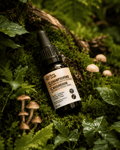 5 Champignons Complexe en Gouttes | Le Rituel Matinal Ultime