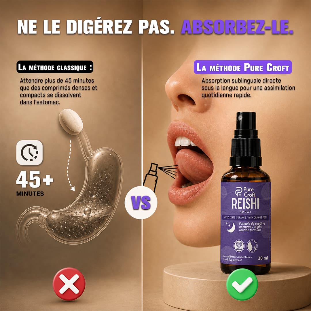 Infographie comparative d'assimilation : dissolution lente de comprimés dans l'estomac (>45 min) versus absorption sublinguale directe et rapide sous la langue avec le spray Reishi Pure Croft.