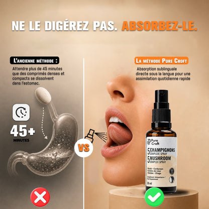 Infographie comparative d'assimilation : dissolution lente de comprimés dans l'estomac (>45 min) versus absorption sublinguale directe et rapide sous la langue avec le spray Pure Croft.