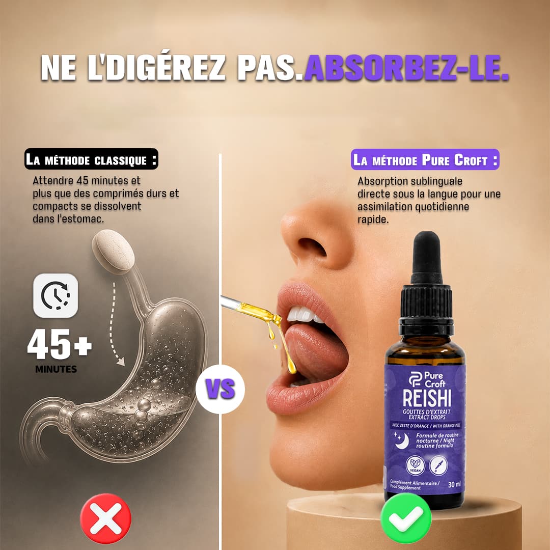Infographie comparative d'assimilation : dissolution lente de comprimés dans l'estomac (>45 min) versus absorption sublinguale directe et rapide sous la langue avec les gouttes de Reishi Pure Croft.
