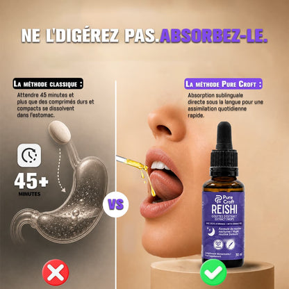 Infographie comparative d'assimilation : dissolution lente de comprimés dans l'estomac (>45 min) versus absorption sublinguale directe et rapide sous la langue avec les gouttes de Reishi Pure Croft.