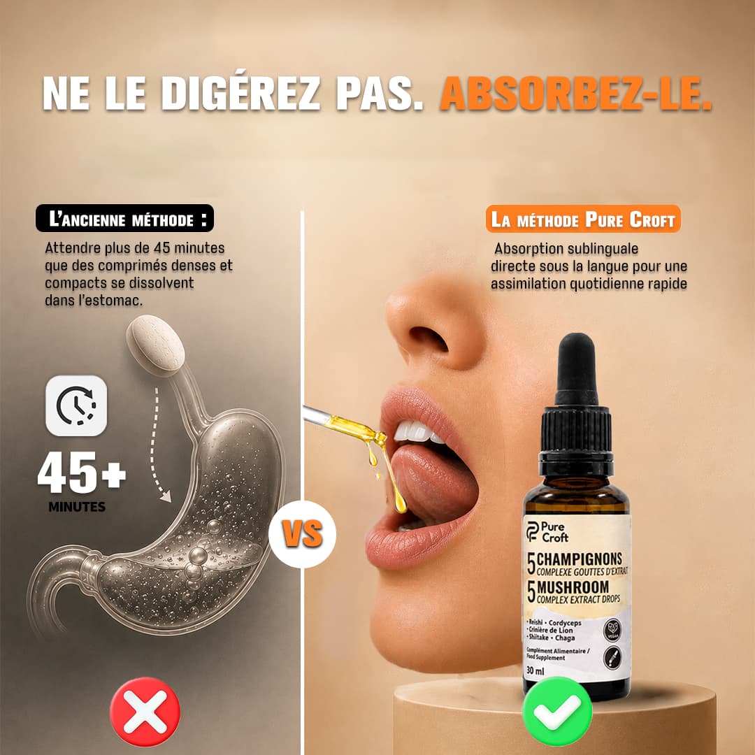 Infographie comparative d'assimilation : digestion lente de comprimés dans l'estomac nécessitant plus de 45 minutes versus absorption sublinguale directe et rapide sous la langue avec les gouttes du Complexe 5 Champignons Pure Croft.