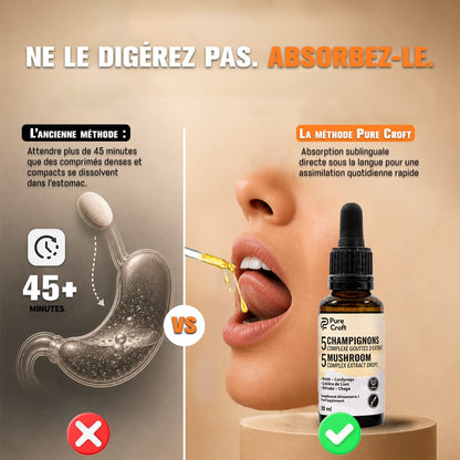 Infographie comparative d'assimilation : digestion lente de comprimés dans l'estomac nécessitant plus de 45 minutes versus absorption sublinguale directe et rapide sous la langue avec les gouttes du Complexe 5 Champignons Pure Croft.