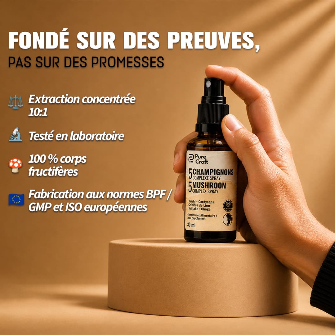 Flacon spray 30 ml du Complexe 5 Champignons Pure Croft tenu en main : formule concentrée 10:1 testée en laboratoire, 100% corps fructifères et certifiée aux normes européennes BPF/GMP et ISO.