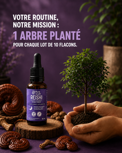 Gouttes d'Extrait de Reishi | Équivalent à 6 660 mg de Reishi