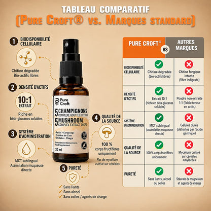 Tableau comparatif du spray sublingual Pure Croft vs marques standard : assimilation sublinguale directe sur base MCT, extrait 10:1, 100% corps fructifères sans mycélium sur céréales et formule sans alcool ni liants.
