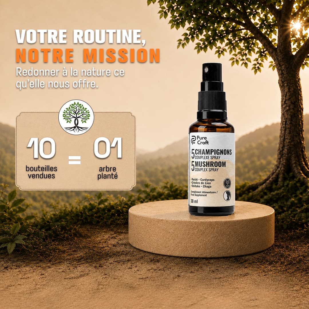 Engagement environnemental Pure Croft : 1 arbre planté pour 10 bouteilles vendues, flacon spray 5 champignons mis en scène dans un décor naturel arboré.