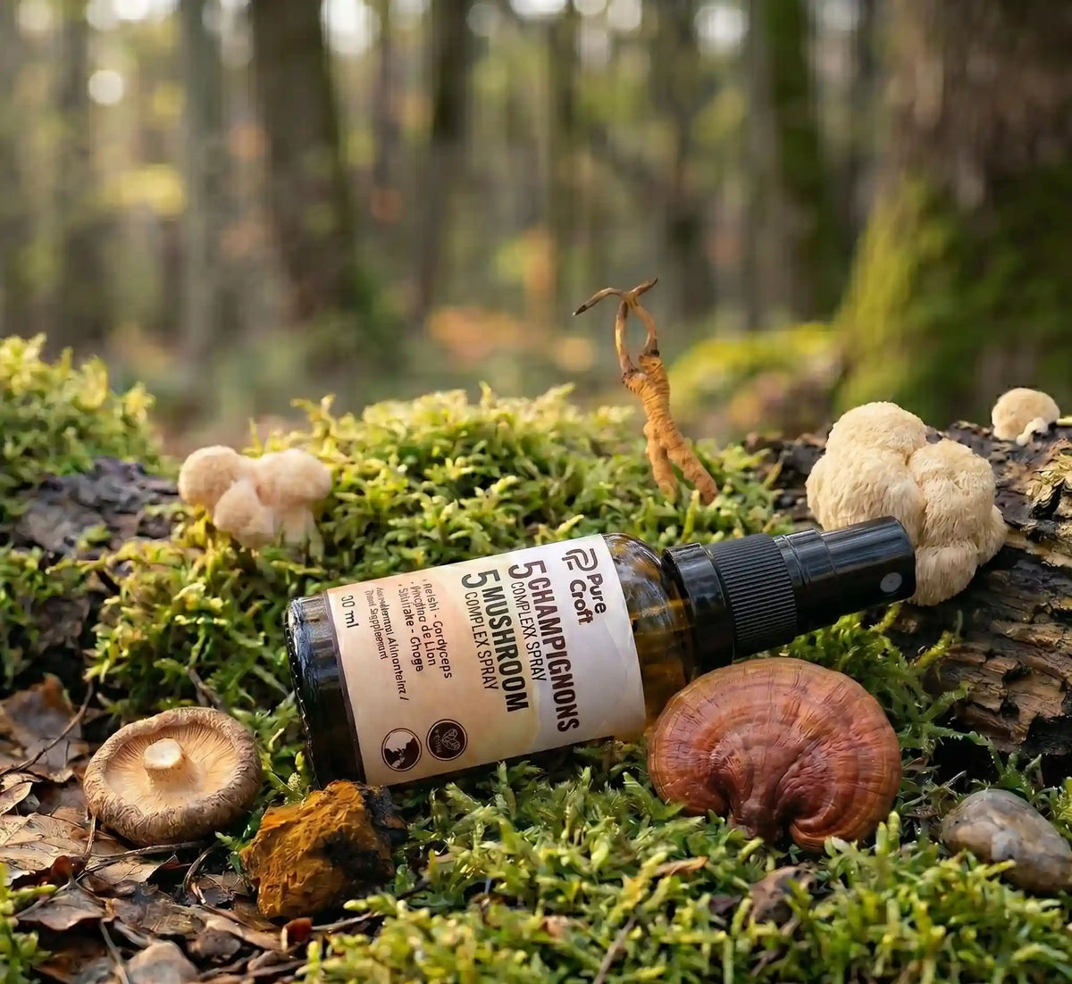 5 Mushroom Complex Spray bottle nestled in moss with functional mushrooms in forest setting