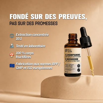 Certifications qualité Pure Croft : extrait concentré 10:1 testé en laboratoire, 100% corps fructifères et fabrication conforme aux normes BPF/GMP et ISO européennes.