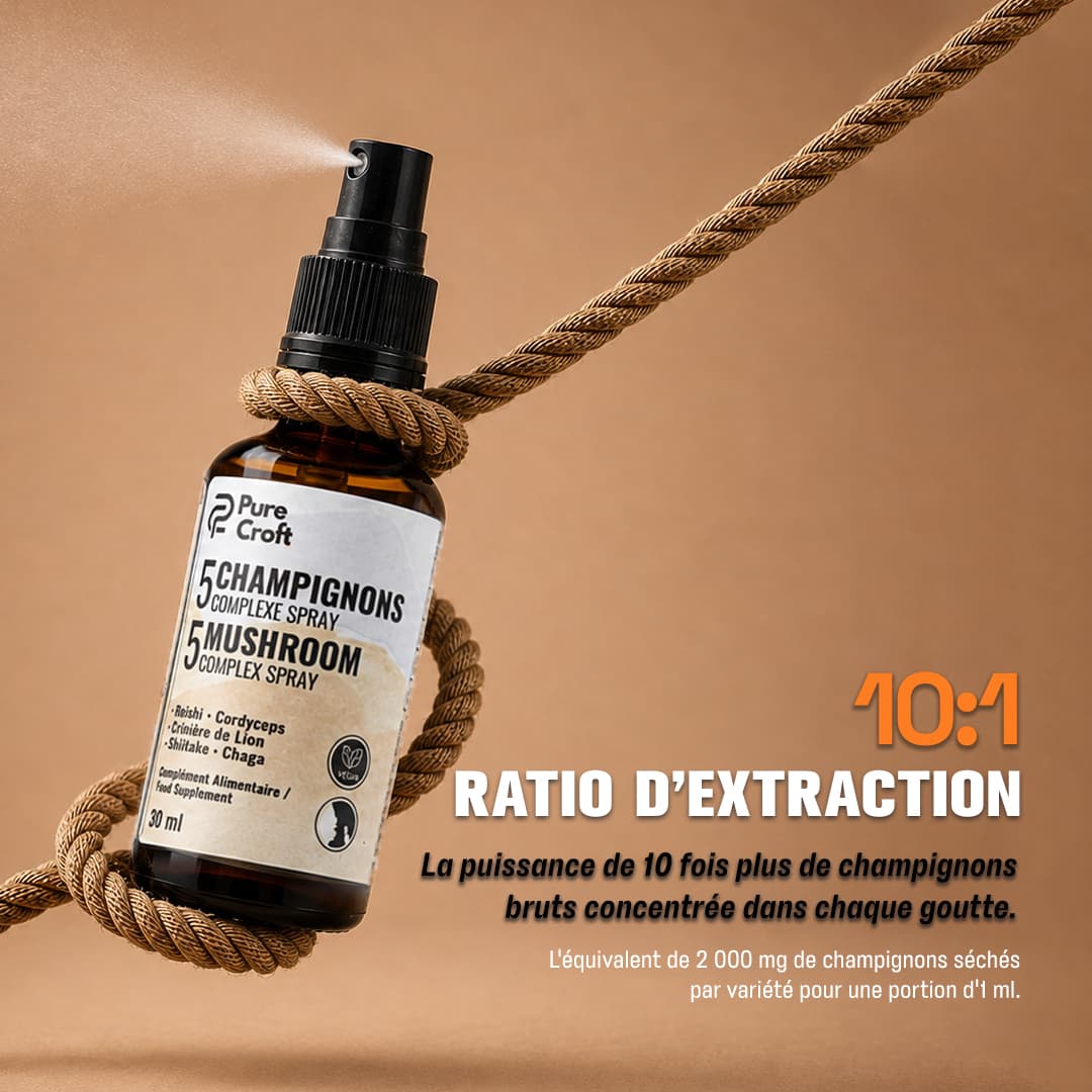 Pulvérisation du spray Complexe 5 Champignons Pure Croft illustrant le rapport d'extraction 10:1, équivalent à 2 000 mg de champignons bruts séchés par variété pour 1 ml.