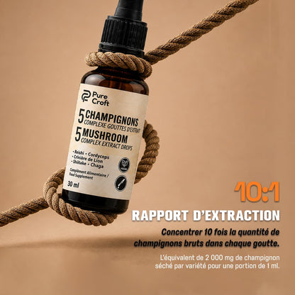Présentation du rapport d'extraction 10:1 du complexe Pure Croft, équivalent à 2 000 mg de champignons bruts séchés par portion de 1 ml.