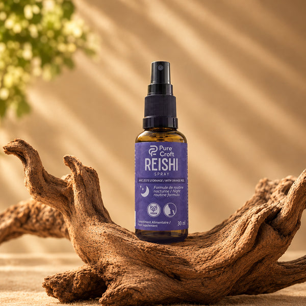Flacon vaporisateur en verre ambré de 30 ml de spray de Reishi Pure Croft pour routine du soir, posé sur une racine en bois naturel.