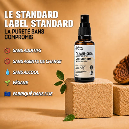 Flacon spray Complexe 5 Champignons Pure Croft sur socle en pierre : formule clean label sans additifs, sans agents de charge, sans alcool, 100% végane et fabriquée dans l'Union Européenne.