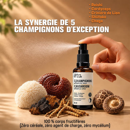 Pulvérisation du spray 5 Champignons Pure Croft au-dessus des champignons bruts (Reishi, Cordyceps, Crinière de Lion, Shiitaké, Chaga), garanti 100% corps fructifères sans céréale ni mycélium.