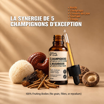 Flacon compte-gouttes Pure Croft entouré des 5 champignons entiers (Reishi, Cordyceps, Crinière de Lion, Shiitaké, Chaga), formulé avec 100% de corps fructifères sans mycélium sur céréales.