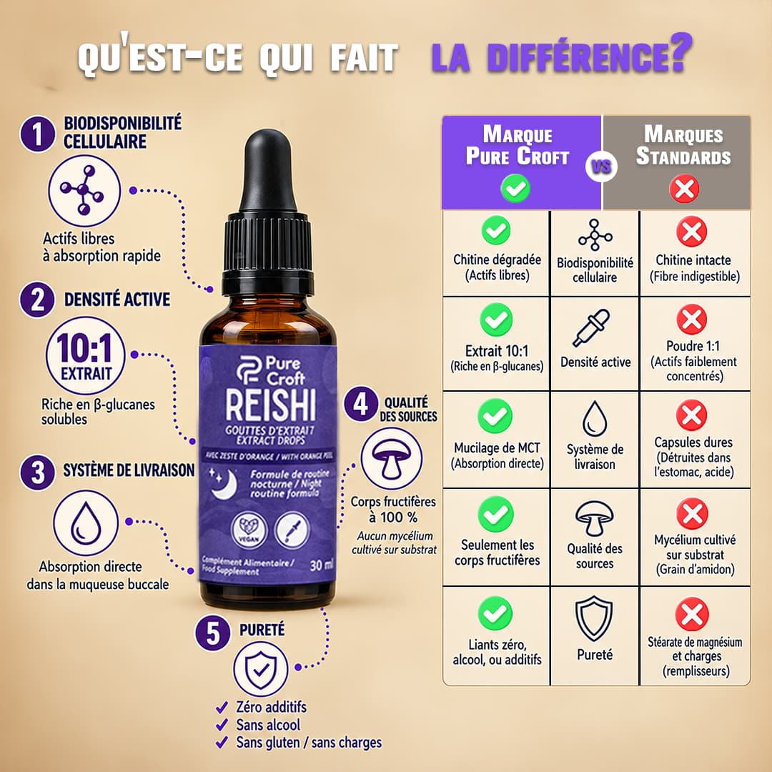 Tableau comparatif des gouttes de Reishi Pure Croft vs marques standards : biodisponibilité sublinguale sur base MCT, extrait 10:1 concentré, 100% corps fructifères sans mycélium sur substrat et formule pure sans additifs.
