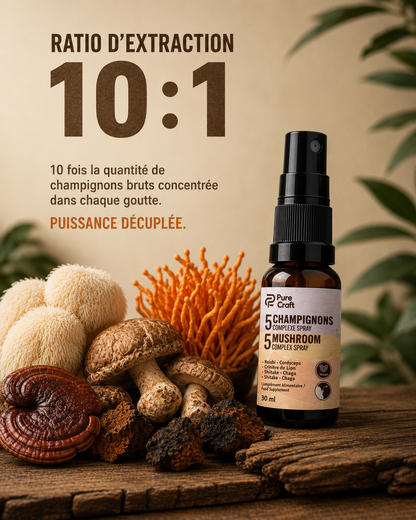 5 Mushroom Complex Spray with Reishi, Cordyceps, Lion's Mane, Shiitake, Chaga on rustic wood
