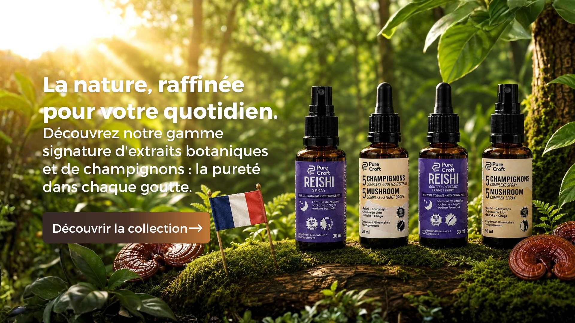 French mushroom extract sprays and drops on mossy log in forest, with Reishi and 5 Mushroom formulas