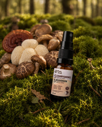 5 Mushroom Complex Spray with Reishi, Lion's Mane, Shiitake, Chaga, Cordyceps on mossy forest floor